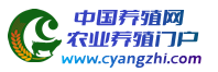 中国养殖网