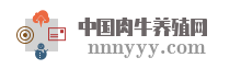 中国肉牛养殖网