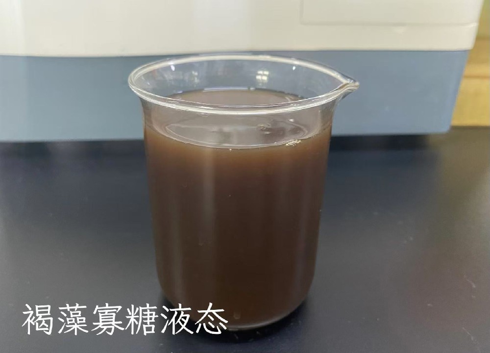 核心原料－褐藻寡糖