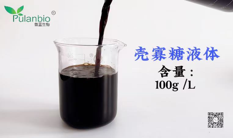 核心原料－壳寡糖