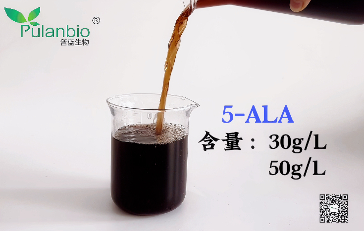 核心原料－5-氨基乙酰丙酸（5-ALA）